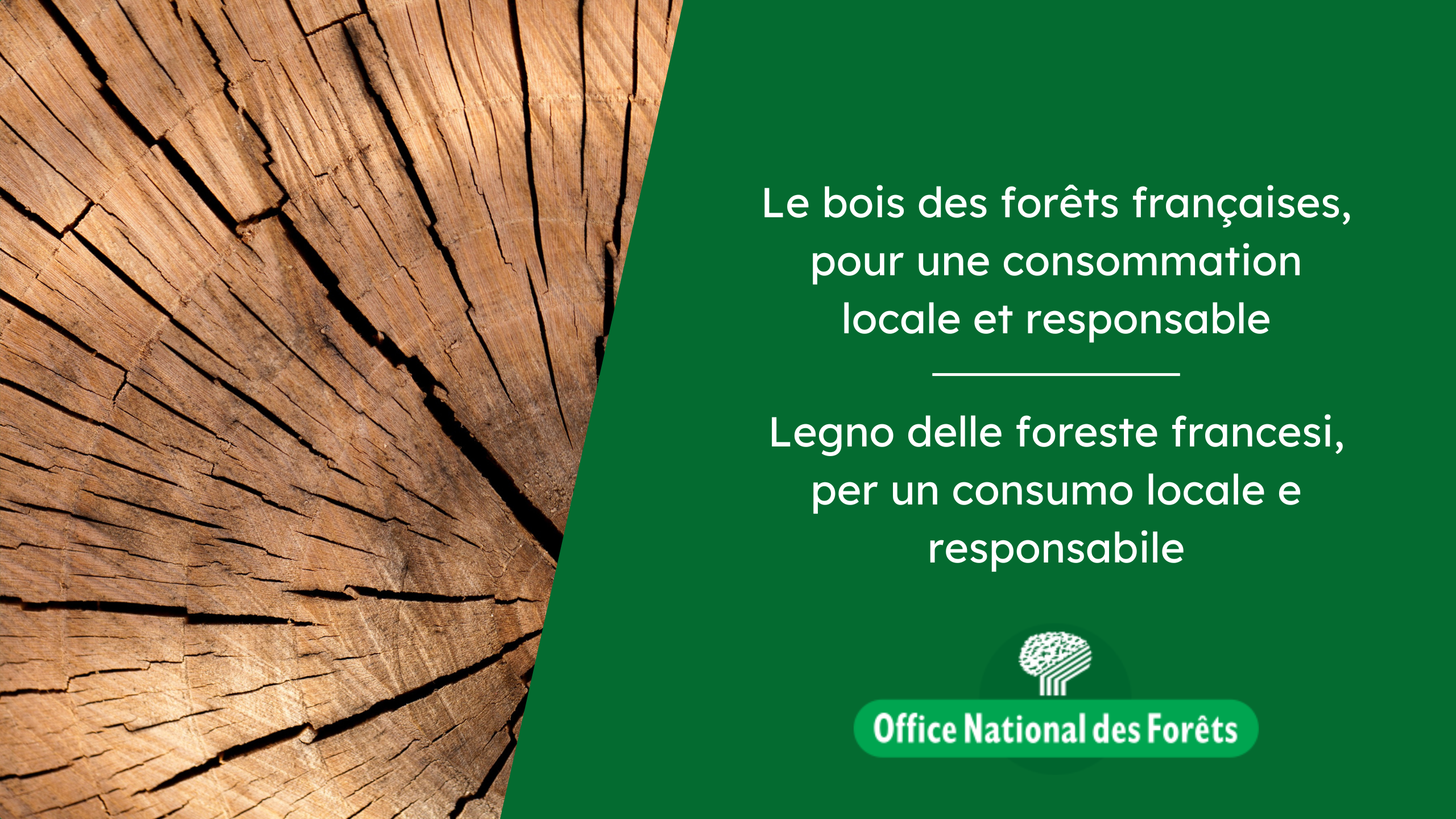 Legno delle foreste francesi, per un consumo locale e sostenibile