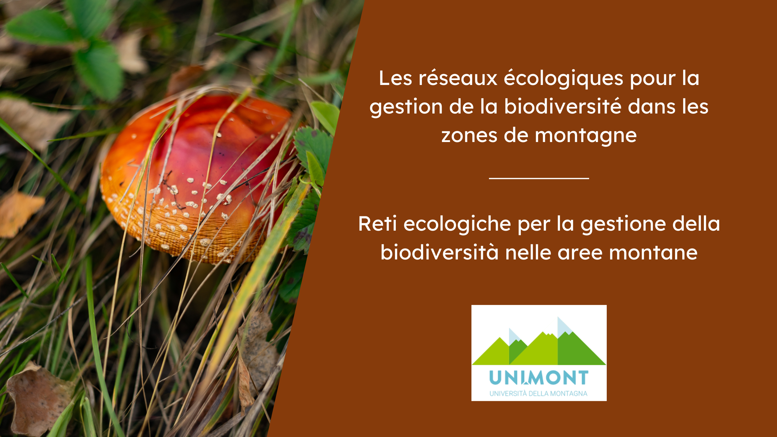 Reti ecologiche per la gestione della biodiversità nelle aree montane